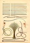 porges catalogue
