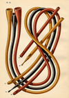 porges catalogue