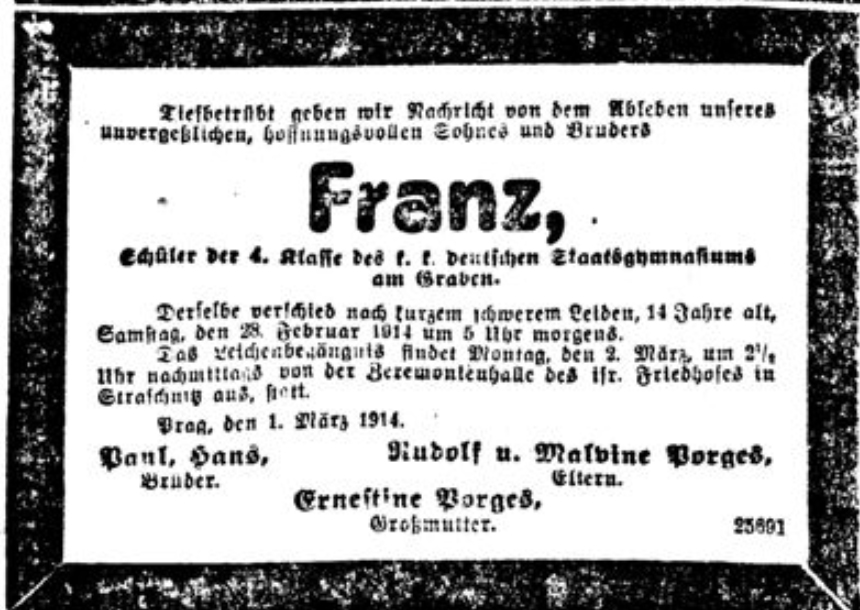 Franz Porges (schoolboy)